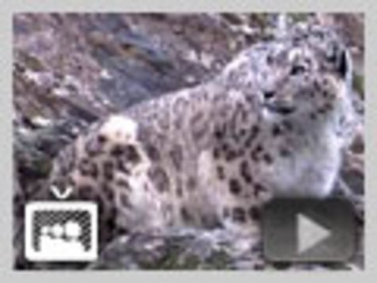 Product picture Adobe