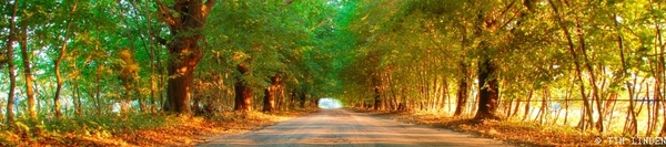 Product picture adobe