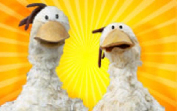 Product picture Adobe